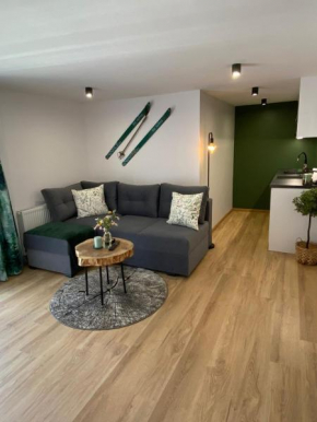 Apartament u Gazdy przy Gondoli